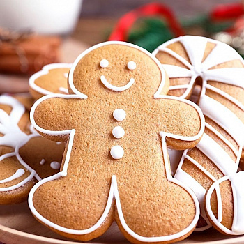 Сухая готовая смесь для Имбирного печенья | 0.2 - 1 кг